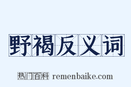 野褐反义词是什么意思的图片